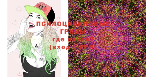 мдпв Вязники
