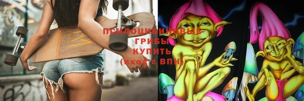 индика Вязьма