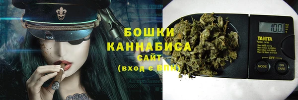 мдпв Вязники