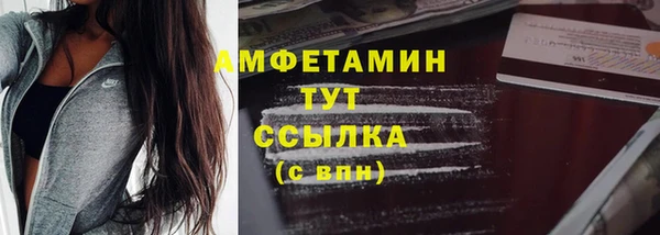 индика Вязьма