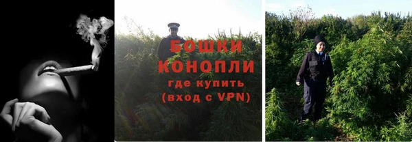 ГАЛЛЮЦИНОГЕННЫЕ ГРИБЫ Вяземский
