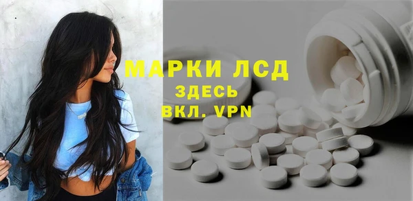 индика Вязьма