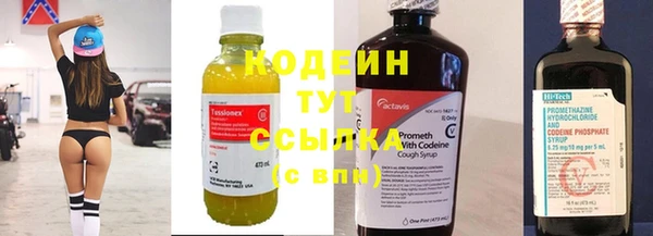 индика Вязьма