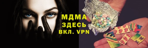 индика Вязьма