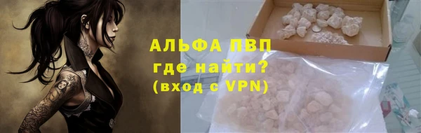 ГАЛЛЮЦИНОГЕННЫЕ ГРИБЫ Вяземский