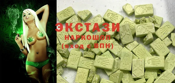 индика Вязьма
