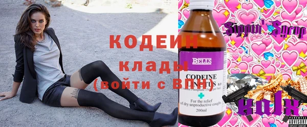 индика Вязьма
