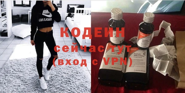 индика Вязьма