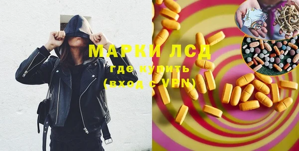 ГАЛЛЮЦИНОГЕННЫЕ ГРИБЫ Вяземский