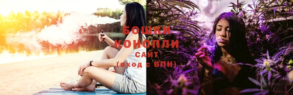 ГАЛЛЮЦИНОГЕННЫЕ ГРИБЫ Вяземский