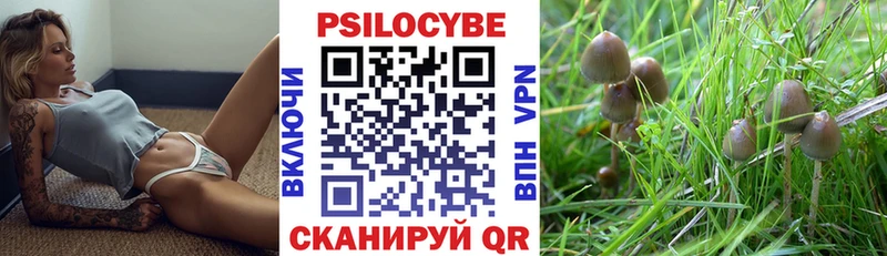 где купить наркоту  Зеленокумск  Галлюциногенные грибы Psilocybe 
